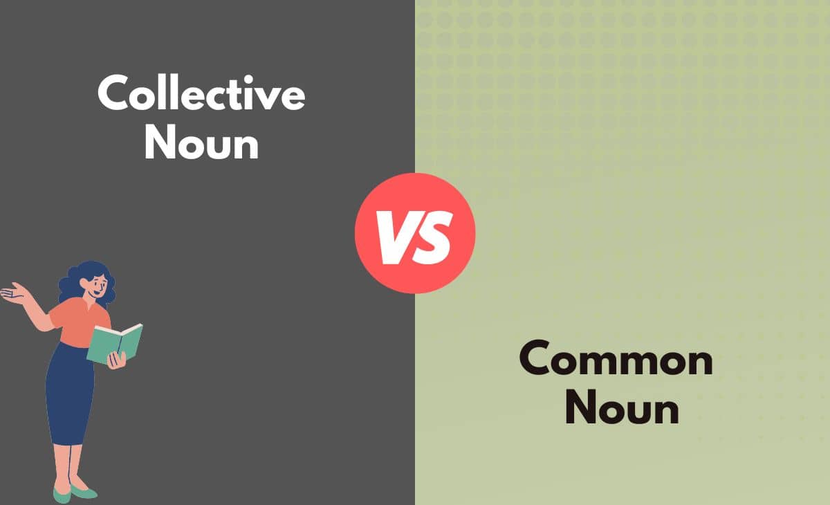 collective-noun-vs-common-noun-what-s-the-difference-with-table