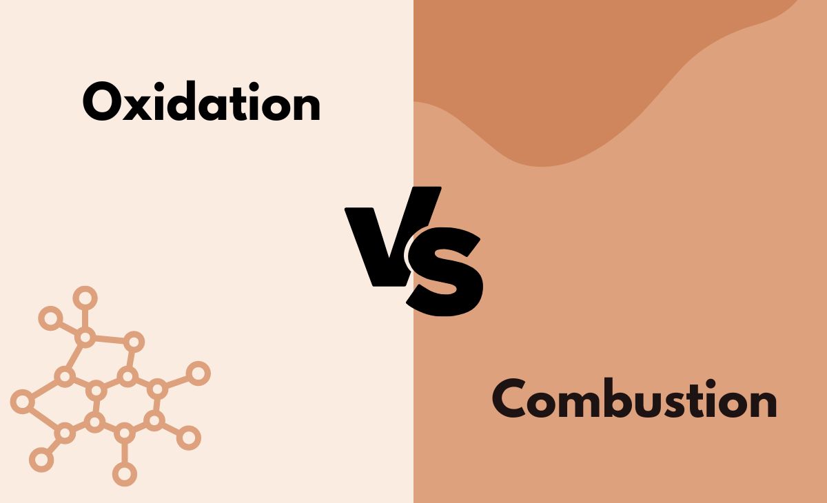 Oxidation Vs Combustion What s The Difference With Table 