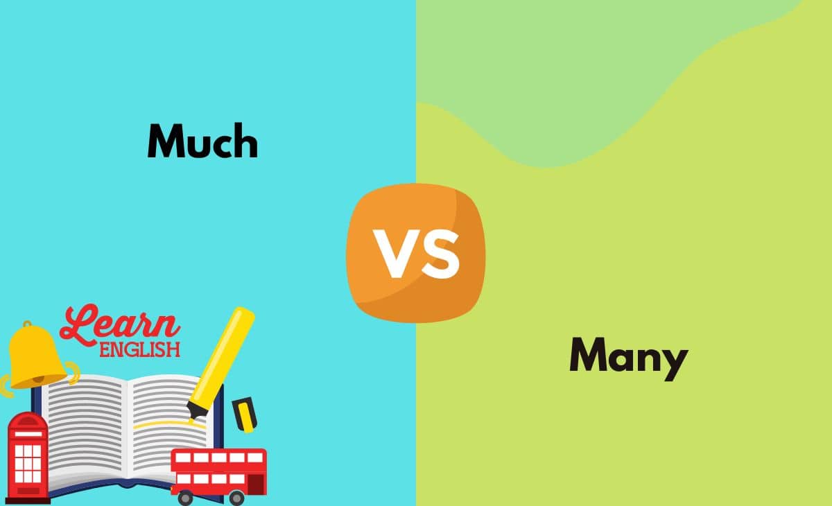 Much or Many - Usage, Difference & Examples