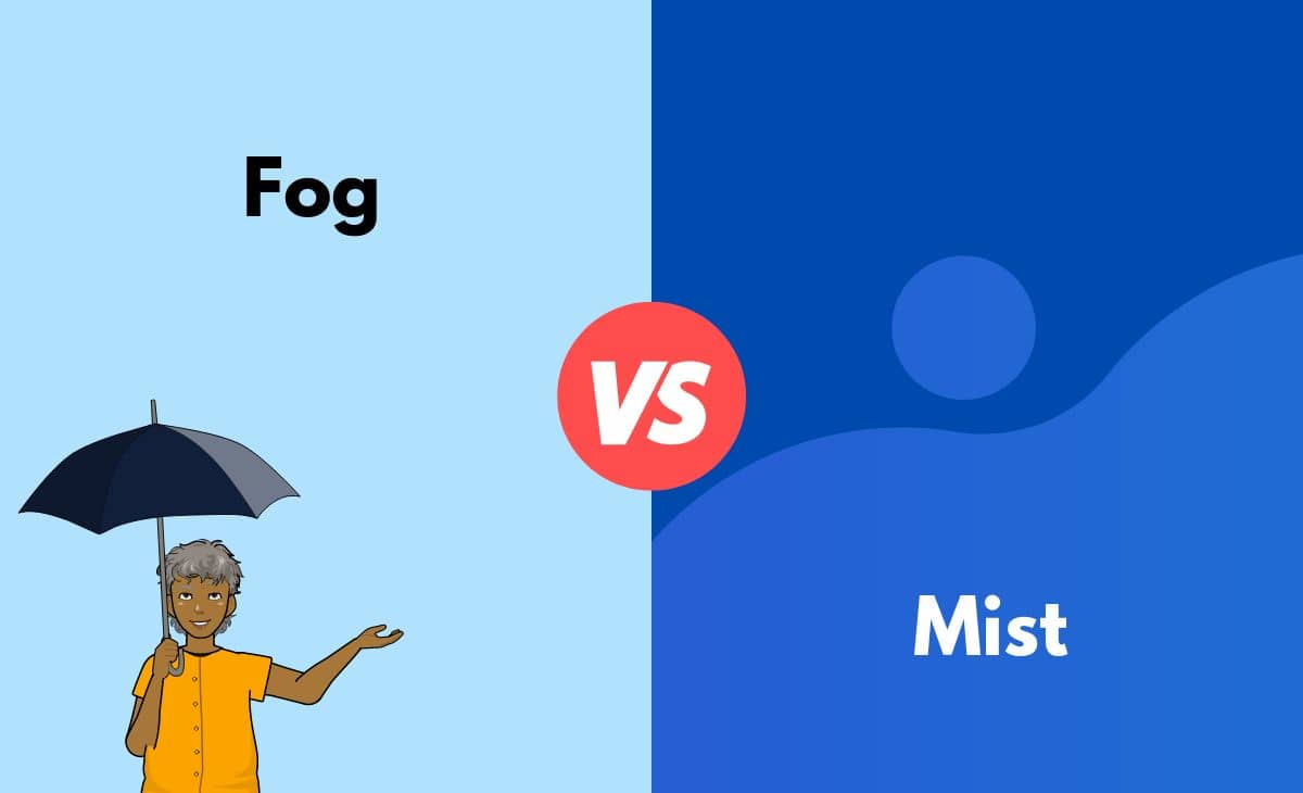 Fog Vs Mist Whats The Difference With Table