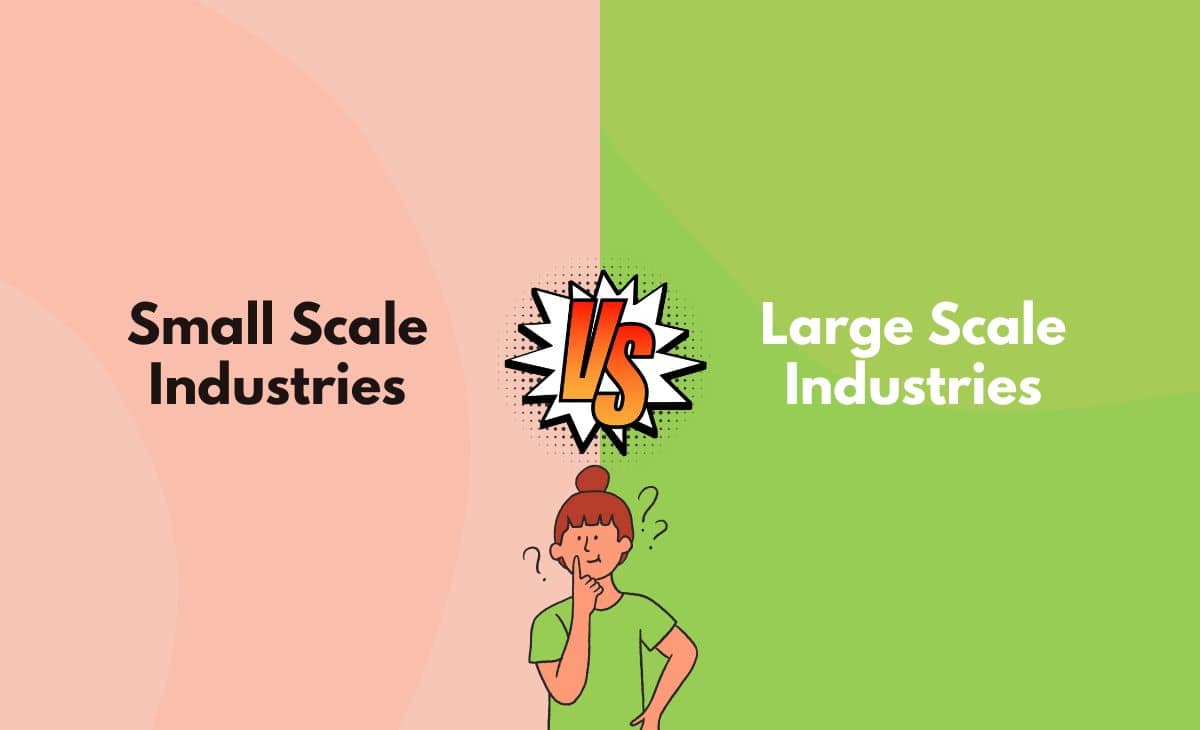 Difference Between Small Scale and Large Scale Industries (with Examples  and Comparison Chart) - Key Differences