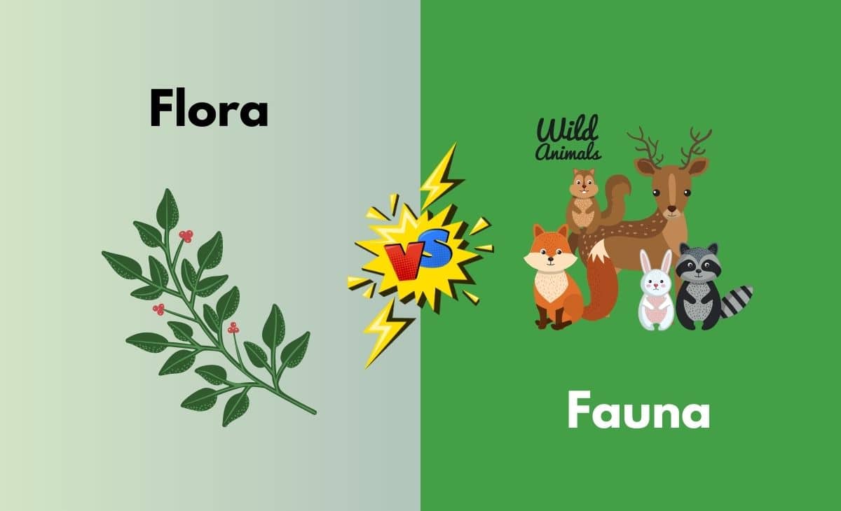 Flora vs. Fauna - What's the Difference (With Table)