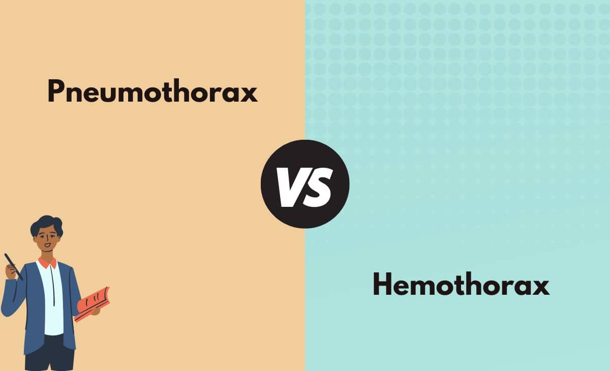 Pneumothorax vs Hemothorax - What's the Difference (With Table)